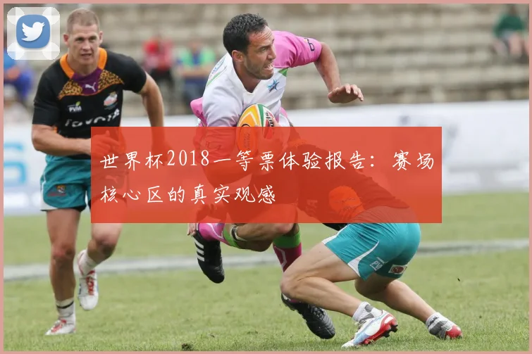 世界杯2018一等票体验报告：赛场核心区的真实观感