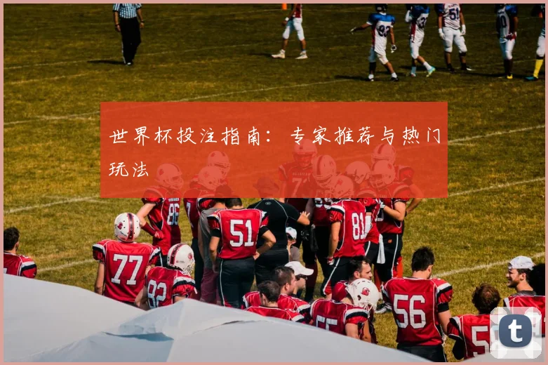 世界杯投注指南：专家推荐与热门玩法